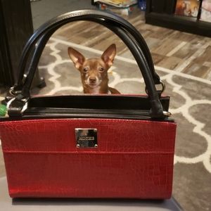 Mich purse base with 5 shells